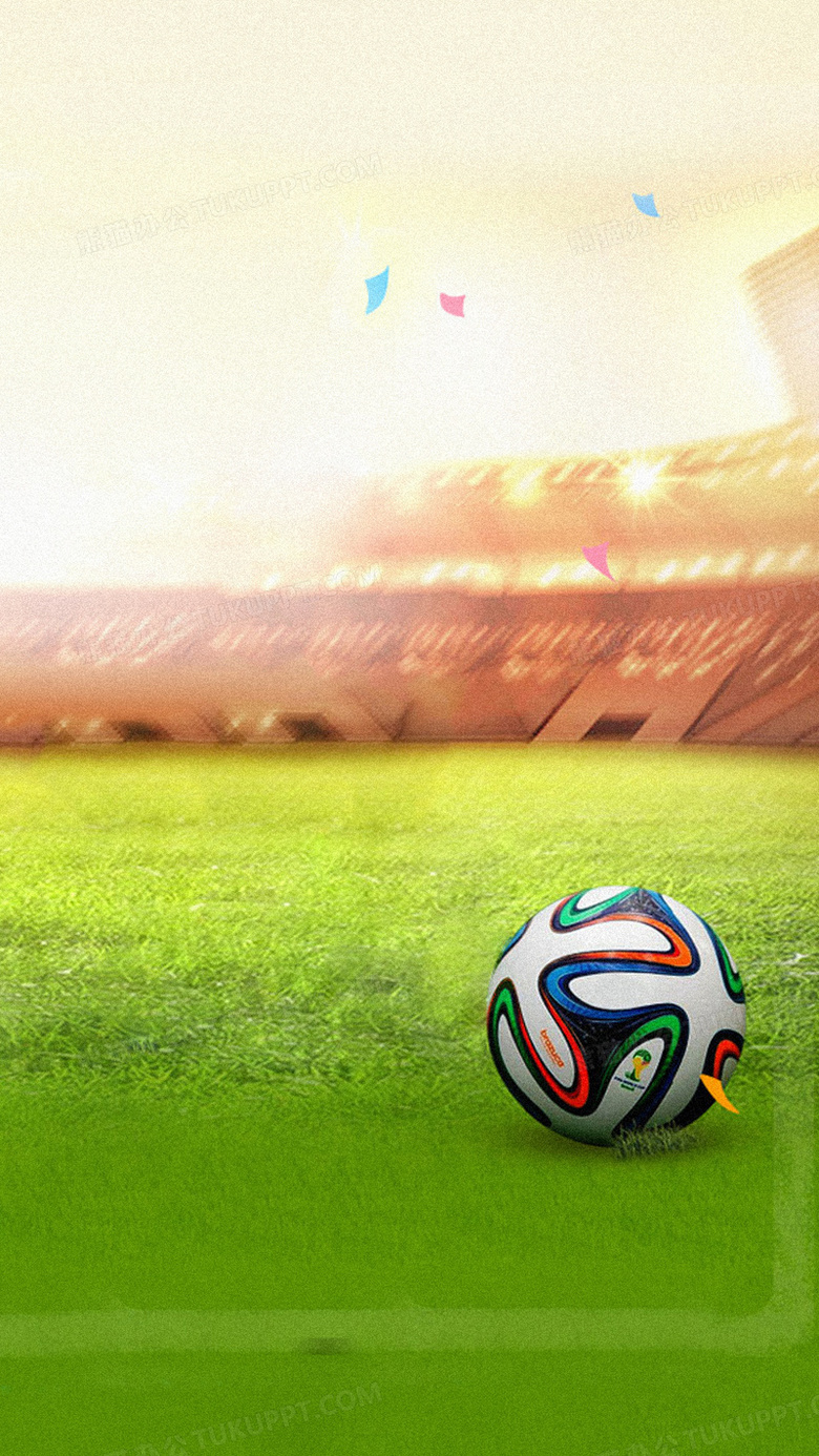 一支近年来 一支近年来