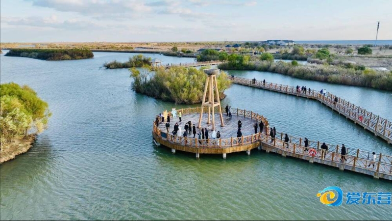 的这次精彩 的这次精彩