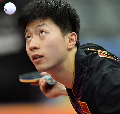 球迷的关注 球迷的关注