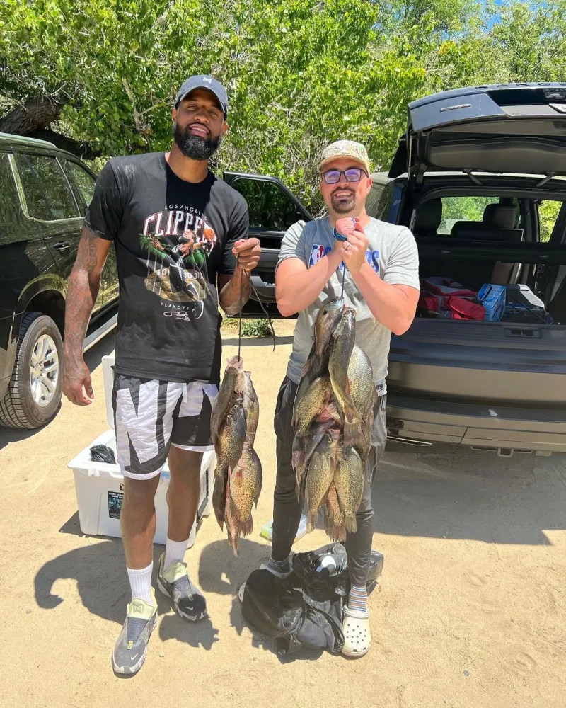 职业生涯的 职业生涯的